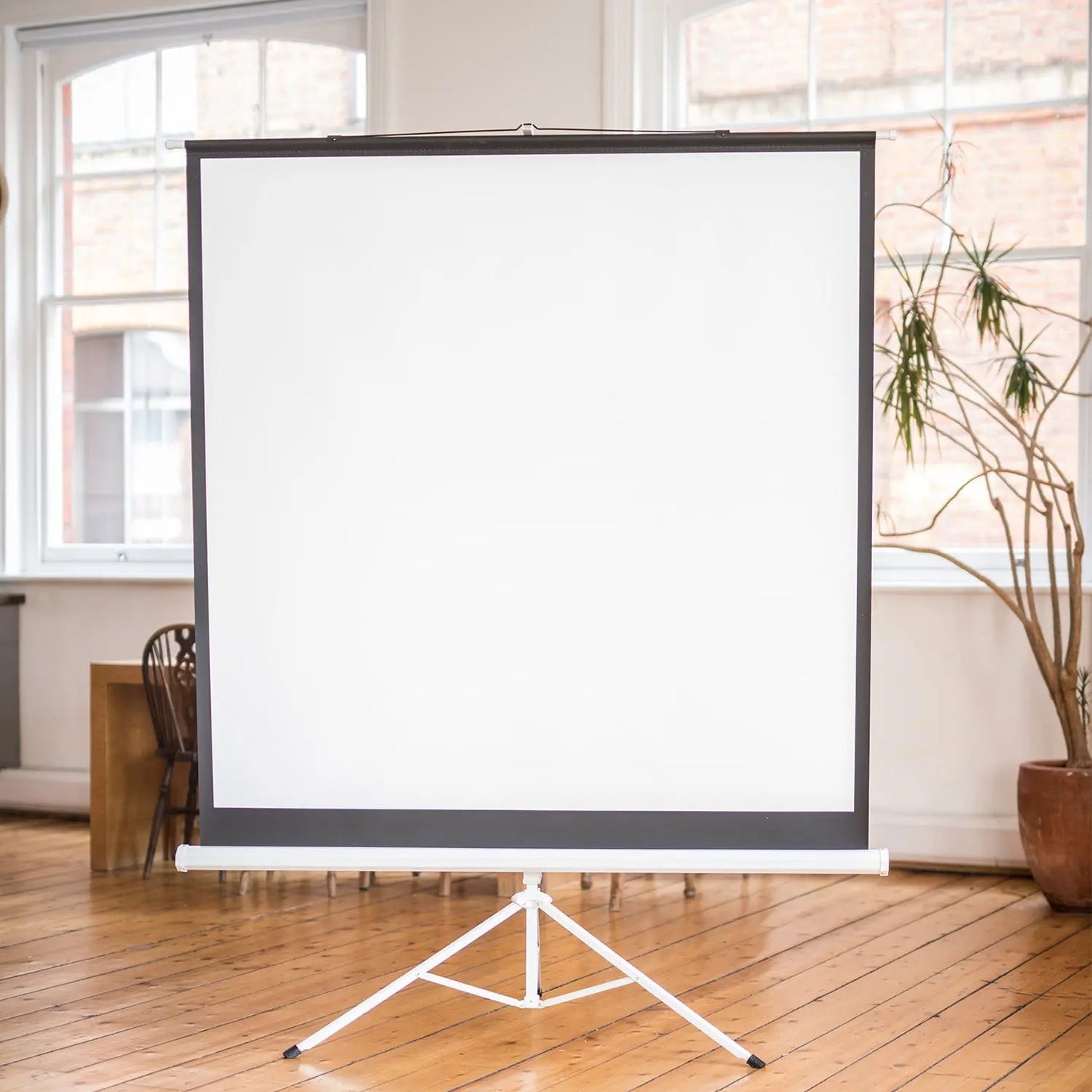 AV:Link 100" 4:3 Manual Tripod Projector Screen